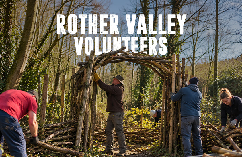 RVCP EVENT-Volunteers-Arch